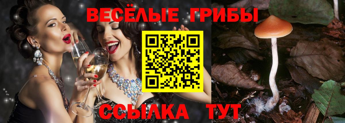 купить  сайты  Галлюциногенные грибы Magic Shrooms  Вход с VPN  Гурьевск 